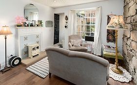 Vintage Apt, Pvt Garden, Wifi, New Town